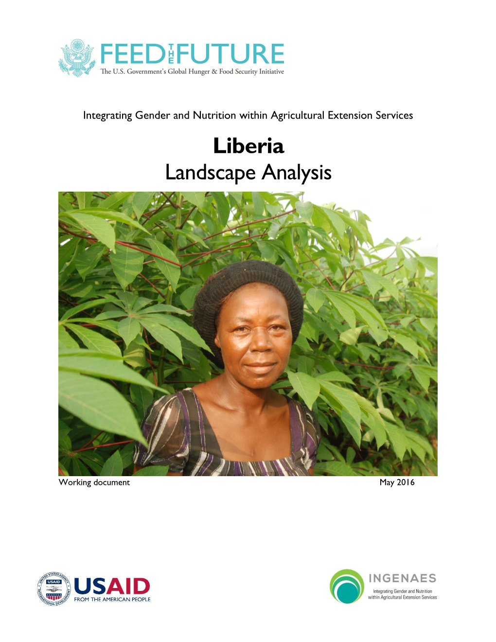 Liberia Landscape Analysis