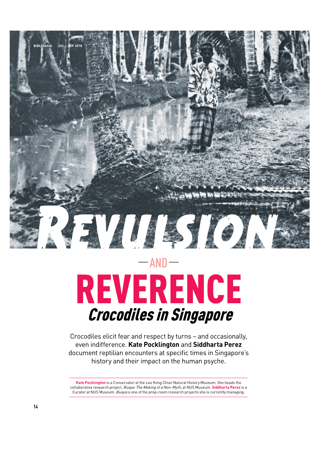 Crocodiles in Singapore