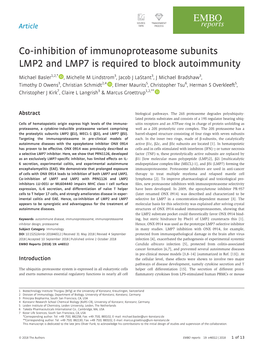 Co‐Inhibition of Immunoproteasome Subunits LMP2 and LMP7 Is