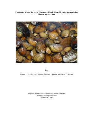 Freshwater Mussel Survey of Clinchport, Clinch River, Virginia: Augmentation Monitoring Site: 2006