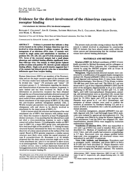 Evidence for the Direct Involvement of the Rhinovirus Canyon in Receptor Binding (Viral Attachment Site/Infectious Cdna/Site-Directed Mutagenesis) RICHARD J