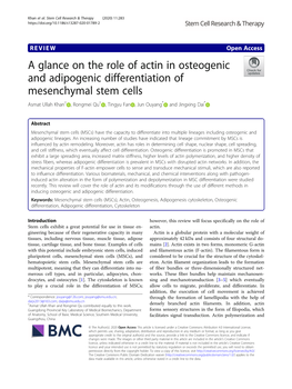 A Glance on the Role of Actin in Osteogenic and Adipogenic