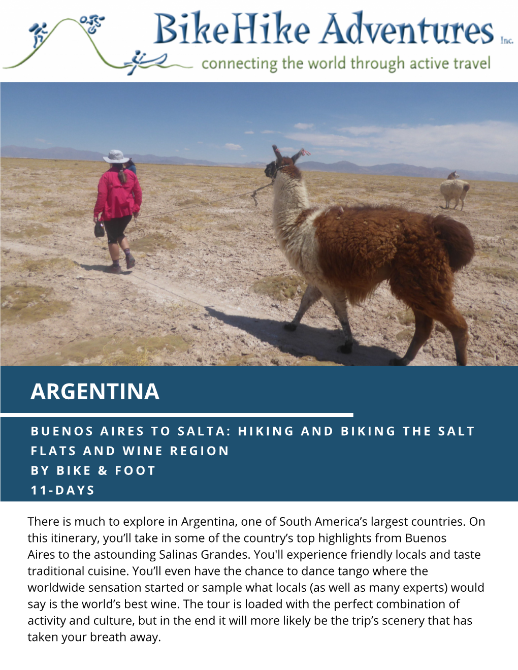 Buenos Aires to Salta DI