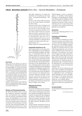 Spiranthes Aestivalis (LR/Cd) Merkblätter Artenschutz – Blütenpflanzen Und Farne (Stand Oktober 1999)
