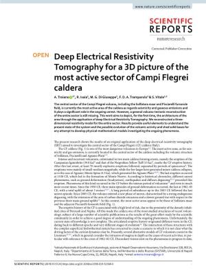 Deep Electrical Resistivity Tomography for a 3D Picture of the Most Active Sector of Campi Flegrei Caldera A