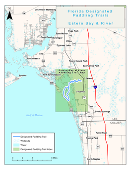 Estero Bay and River Paddling Guide
