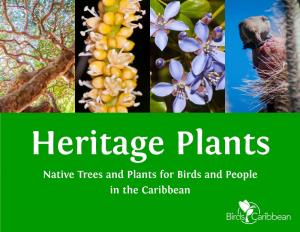 Native Trees and Plants for Birds and People in the Caribbean Planting for Birds in the Caribbean