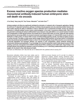 Excess Reactive Oxygen Species Production Mediates Monoclonal Antibody-Induced Human Embryonic Stem Cell Death Via Oncosis