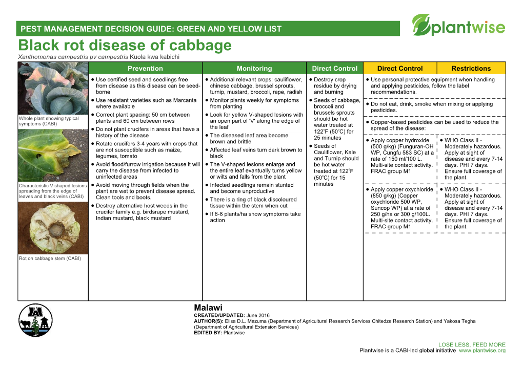 Black Rot Disease of Cabbage Xanthomonas Campestris Pv Campestris Kuola Kwa Kabichi Prevention Monitoring Direct Control Direct Control Restrictions