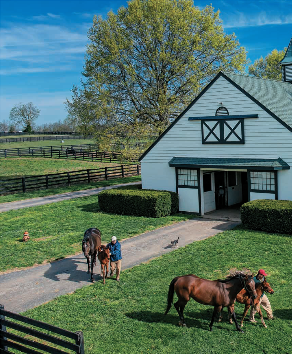 32 Summer 2019 K Keeneland.Com