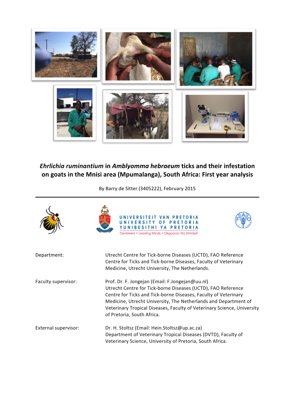 Ehrlichia Ruminantium in Amblyomma Hebraeum Ticks and Their Infestation on Goats in the Mnisi Area (Mpumalanga), South Africa: First Year Analysis