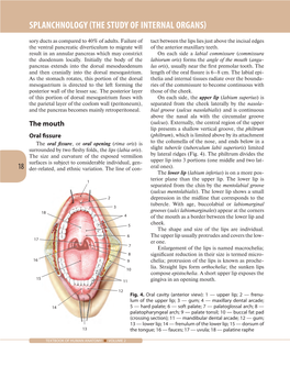 Splanchnology (The Study of Internal Organs)