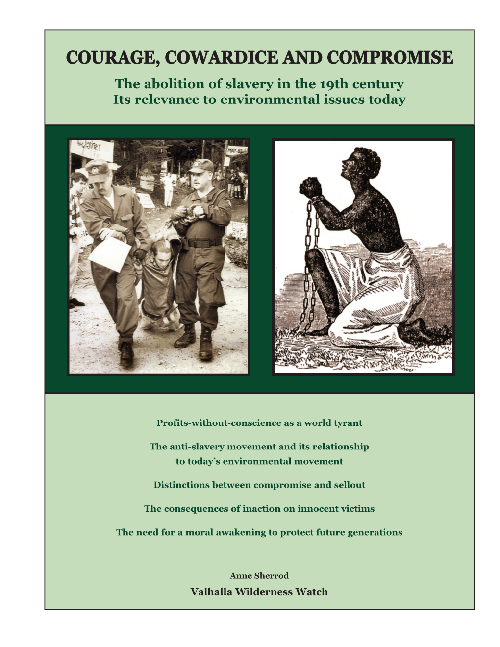 Slavery in the 19Th Century Its Relevance to Environmental Issues Today