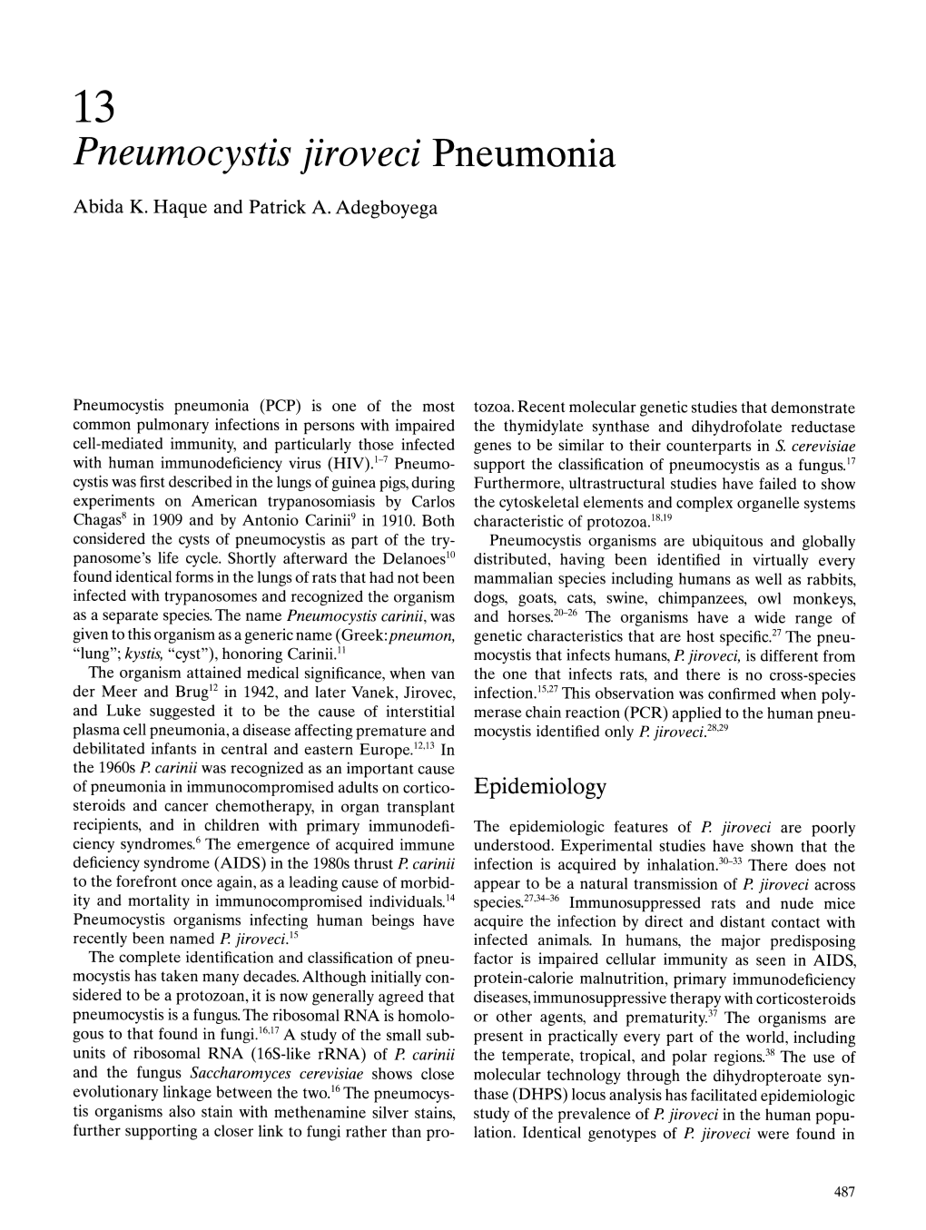 Pneumocystis Jiroveci Pneumonia