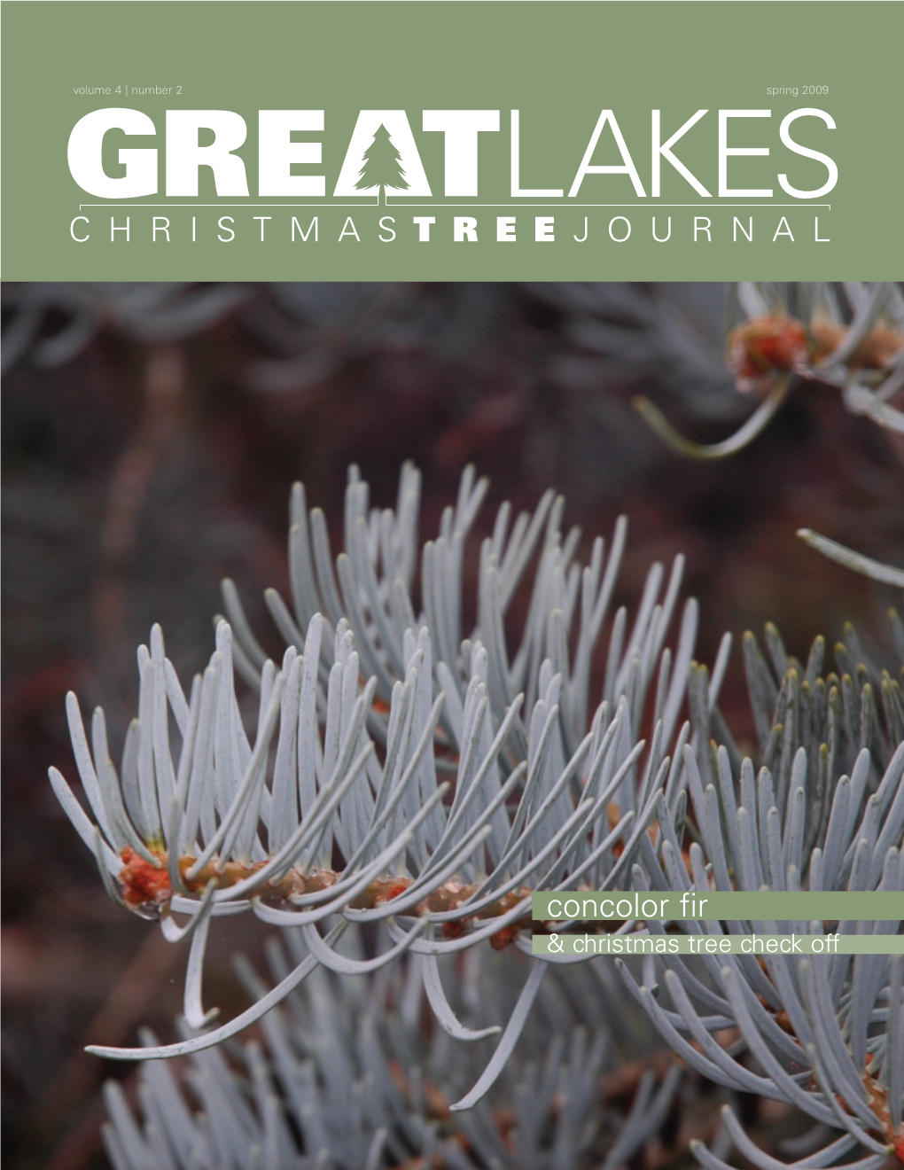 Concolor Fir & Christmas Tree Check Off Conifer Species Profile Spring 2009 Great Lakes Christmas Tree Journal