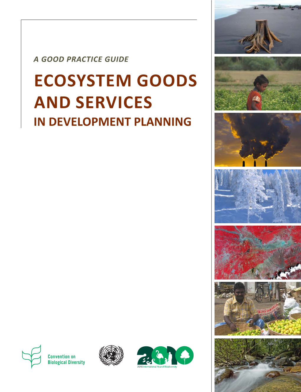 Ecosystem Goods and Services in DEVELOPMENT PLANNING