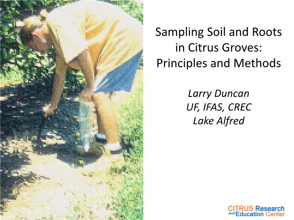 Sampling Soil and Roots in Citrus Groves: Principles and Methods
