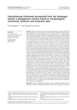 From the Galapagos Islands: a Phylogenetic Revision Based on Morphological, Anatomical, Chemical, and Molecular Data
