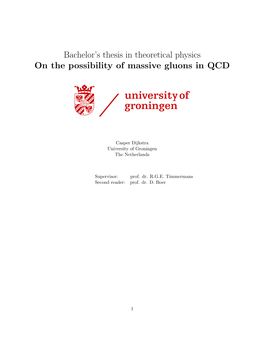 Bachelor's Thesis in Theoretical Physics on the Possibility of Massive
