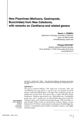 From New Caledonia, with Remarks on Cantharus and Related Gênera
