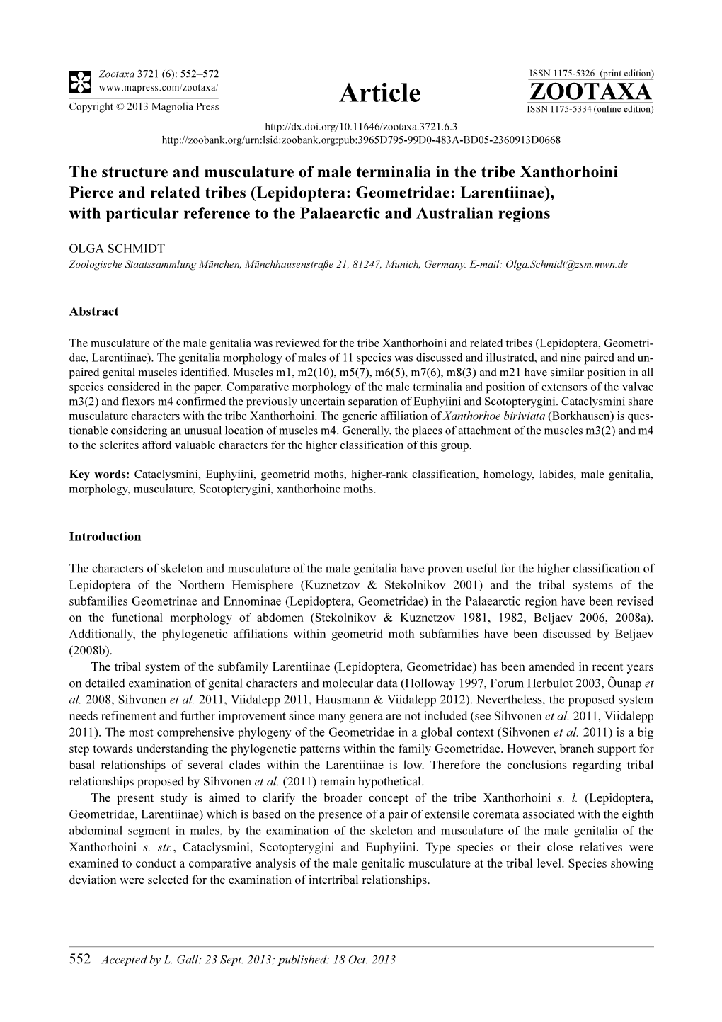 The Structure and Musculature of Male Terminalia in the Tribe Xanthorhoini