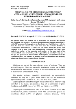 Morphological Studies on Some Species of Cephalopods (Cuttlefishes and Squids) from Hurghada (Red Sea), Egypt