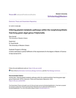 Inferring Plastid Metabolic Pathways Within the Nonphotosynthetic Free-Living Green Algal Genus Polytomella