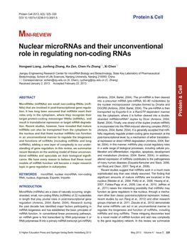Nuclear Micrornas and Their Unconventional Role in Regulating Non-Coding Rnas
