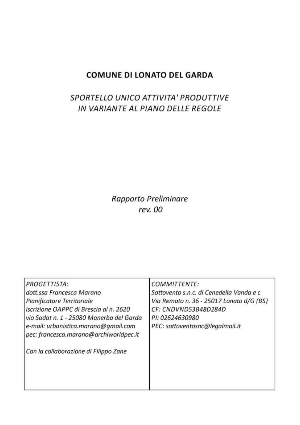 3. Rapporto Preliminare.Pdf