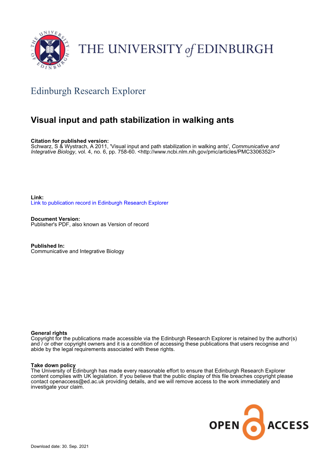 Visual Input and Path Stabilization in Walking Ants