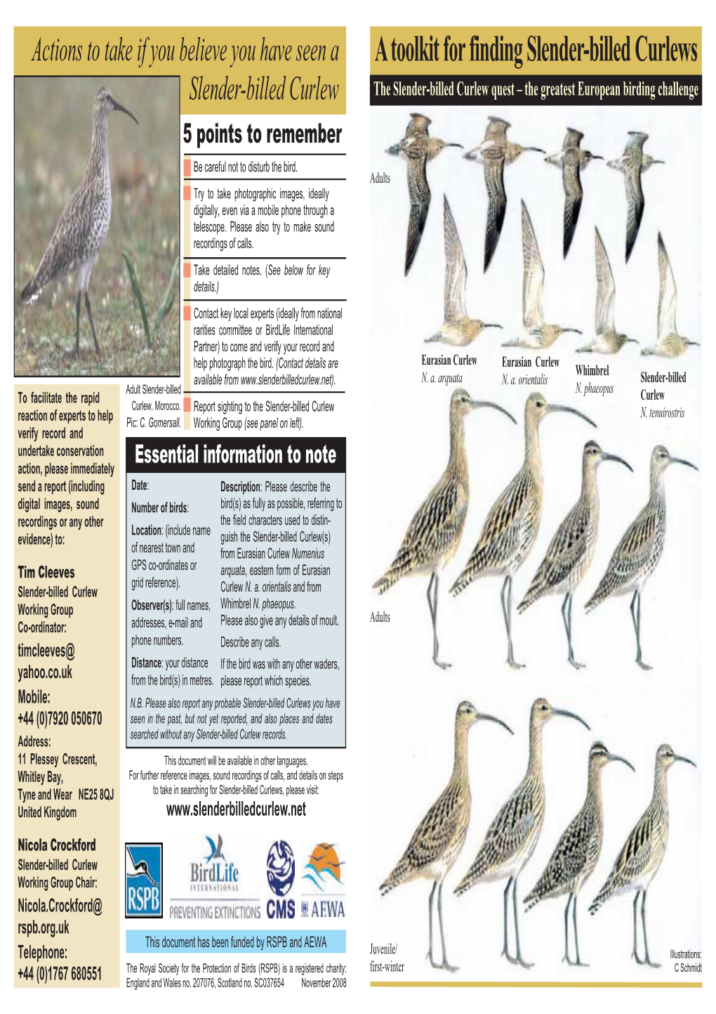 A Toolkit for Finding Slender-Billed Curlews