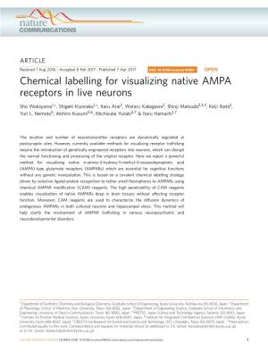 Chemical Labelling for Visualizing Native AMPA Receptors in Live Neurons