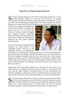 Biografie Von Dzigar Kongtrul Rinpoche