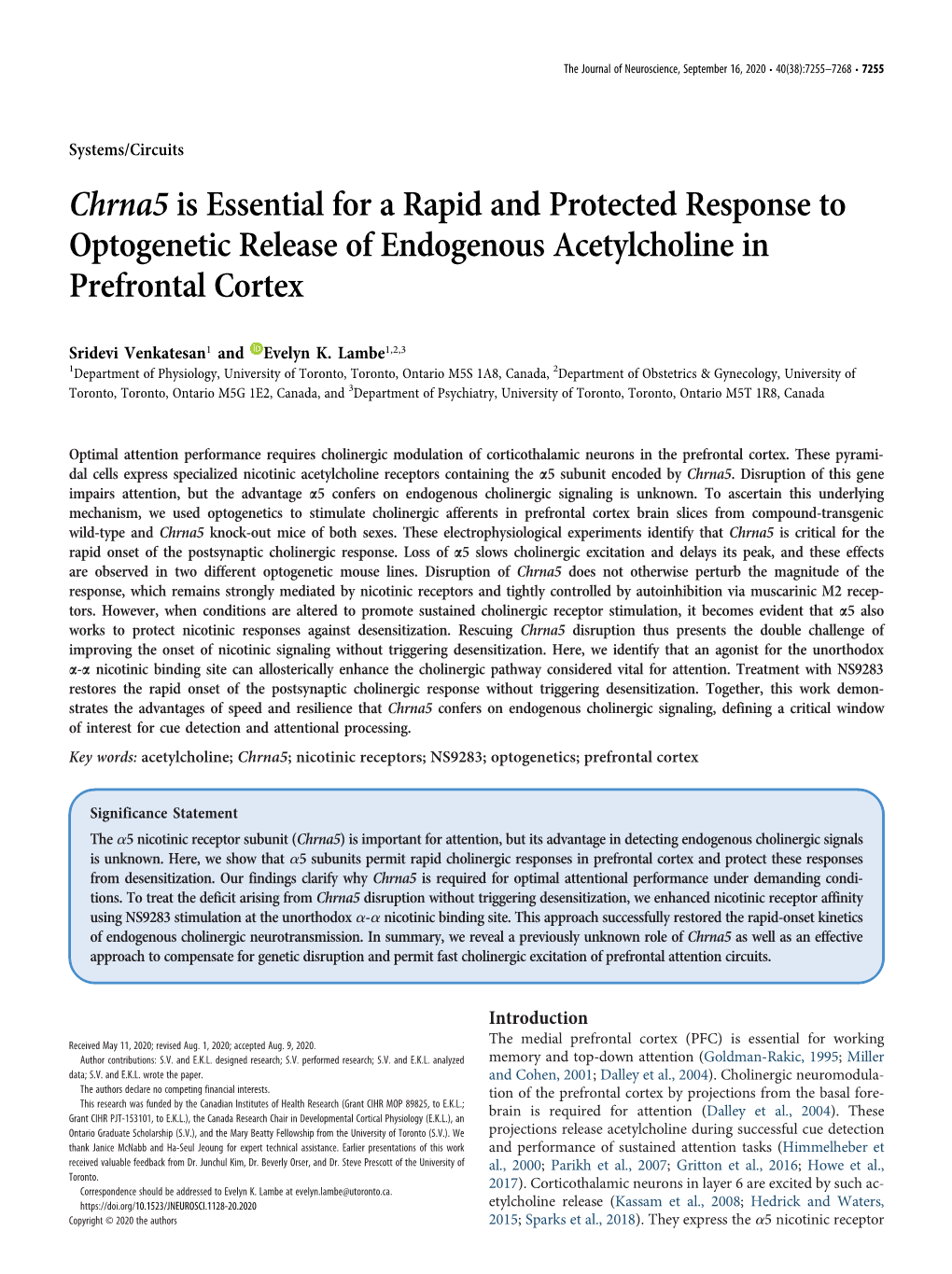 Chrna5 Is Essential for a Rapid and Protected Response to Optogenetic Release of Endogenous Acetylcholine in Prefrontal Cortex