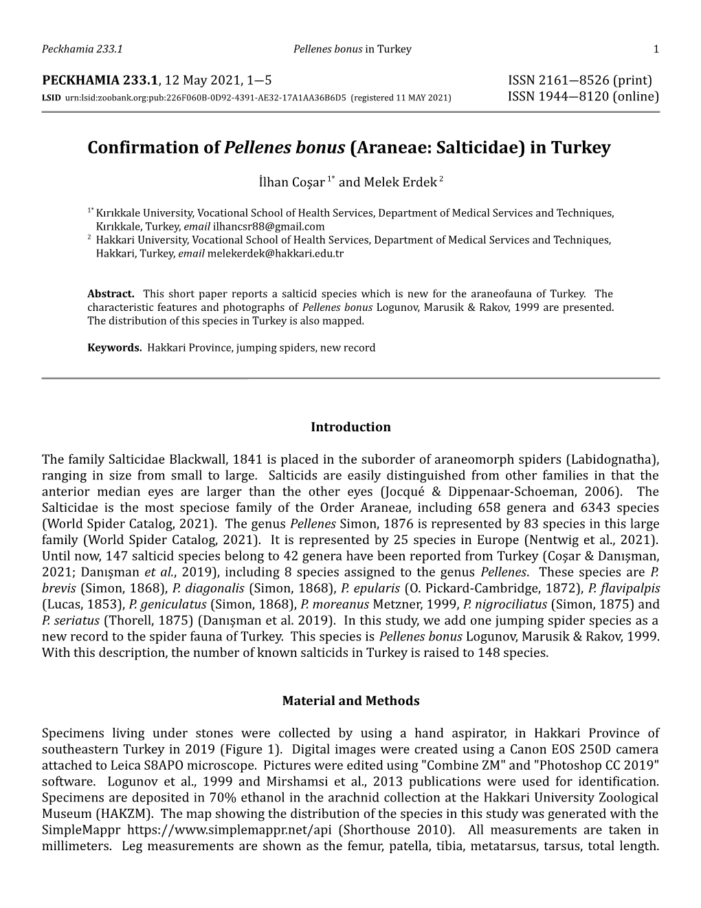 Confirmation of Pellenes Bonus (Araneae: Salticidae) in Turkey