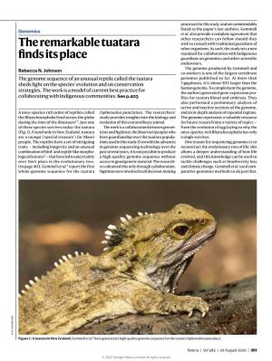 The Remarkable Tuatara Finds Its Place