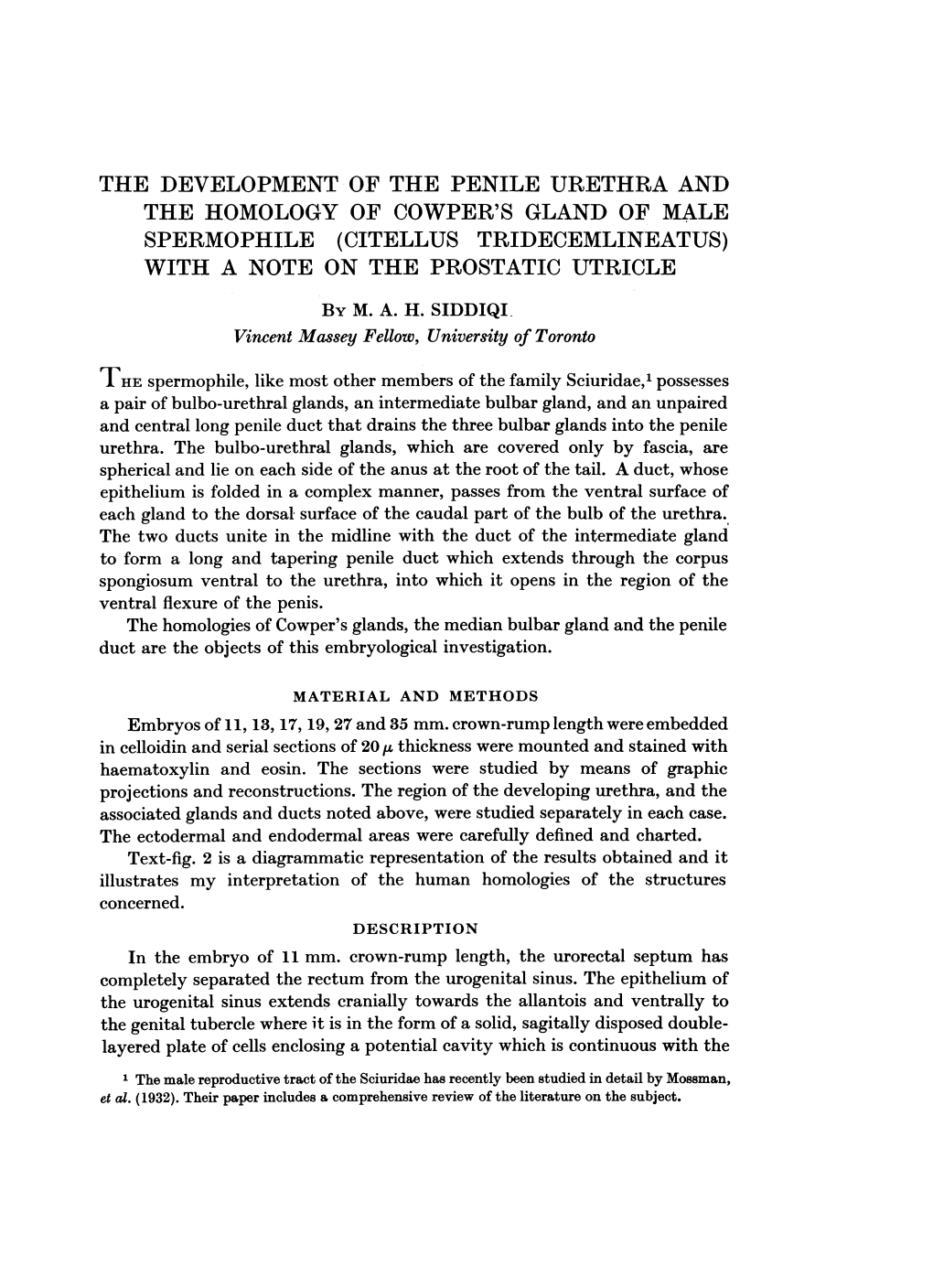 The Homology of Cowper's Glandof Male