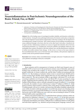 Neuroinflammation in Post-Ischemic Neurodegeneration of The