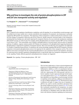 Why and How to Investigate the Role of Protein Phosphorylation in ZIP and Znt Zinc Transporter Activity and Regulation