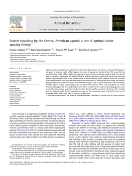Scatter Hoarding by the Central American Agouti: a Test of Optimal Cache Spacing Theory