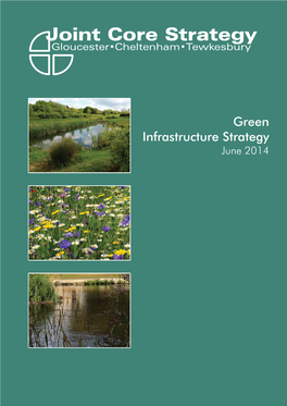 JCS Green Infrastructure Strategy, June 2014