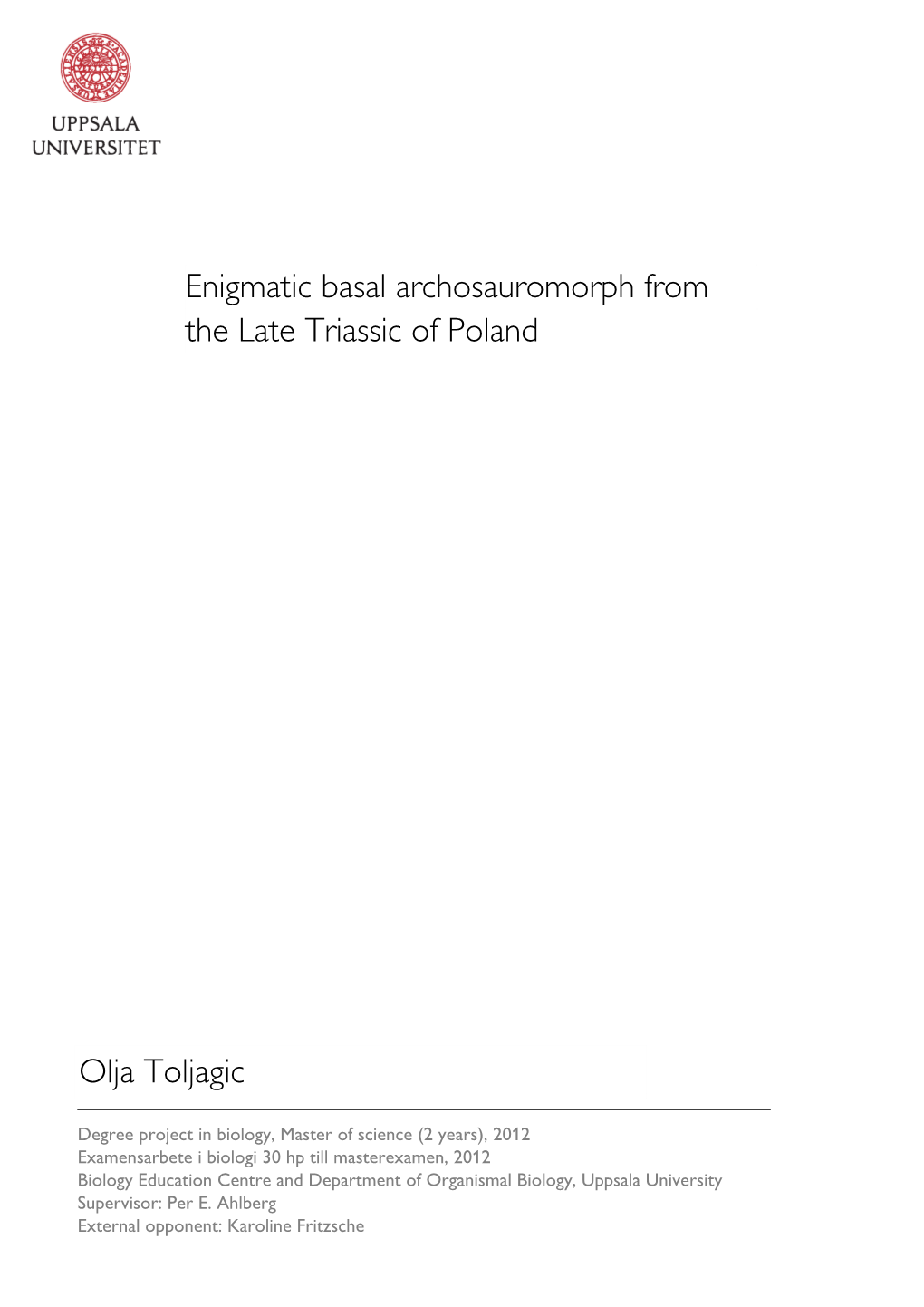 Enigmatic Basal Archosauromorph from the Late Triassic of Poland