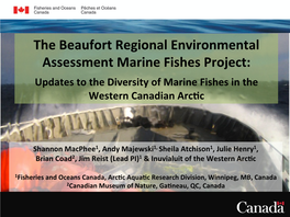 The Beaufort Regional Environmental Assessment Marine Fishes Project: Updates to the Diversity of Marine Fishes in the Western Canadian Arc�C
