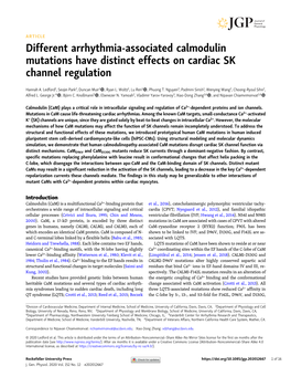 Different Arrhythmia-Associated Calmodulin Mutations Have Distinct Effects on Cardiac SK Channel Regulation