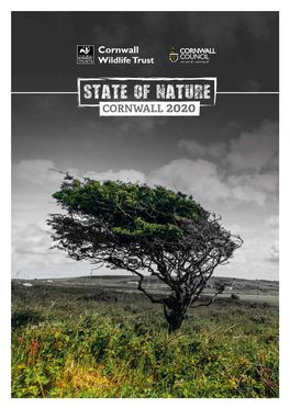 State of Nature Cornwall 2020