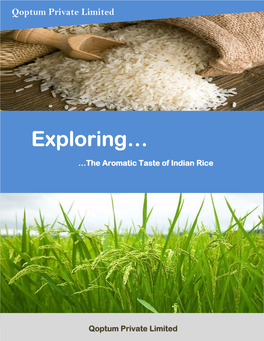 Exploring… …The Aromatic Taste of Indian Rice