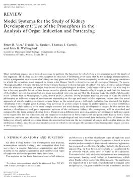 Model Systems for the Study of Kidney Development: Use of the Pronephros in the Analysis of Organ Induction and Patterning