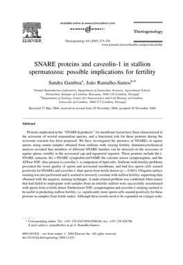 SNARE Proteins and Caveolin-1 in Stallion Spermatozoa: Possible Implications for Fertility Sandra Gamboaa, Joa˜O Ramalho-Santosb,*