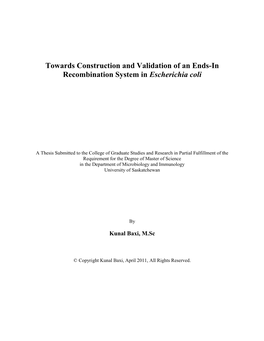 Recombination Assay to Determine Strand Invasion Coupled DNA