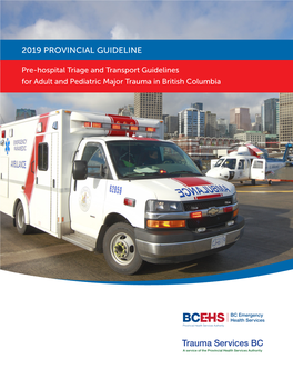 2019 PROVINCIAL GUIDELINE Trauma Services BC
